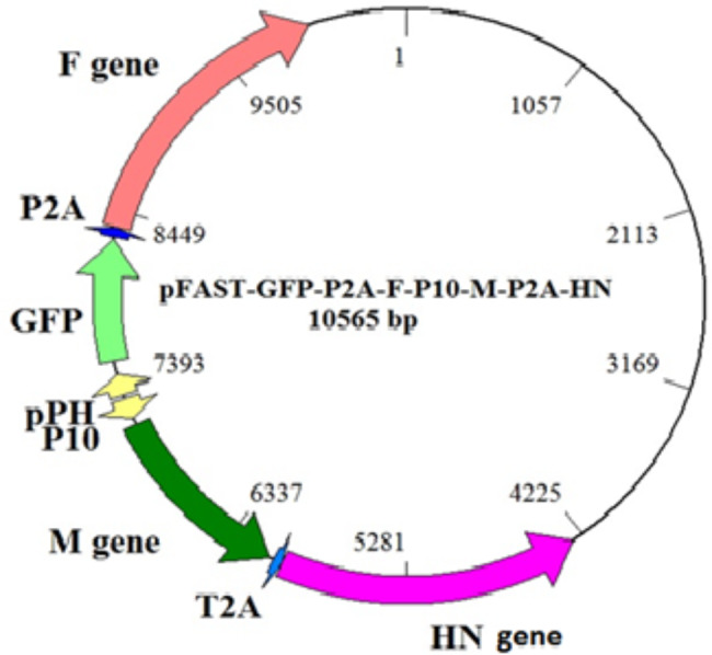 Fig. 2