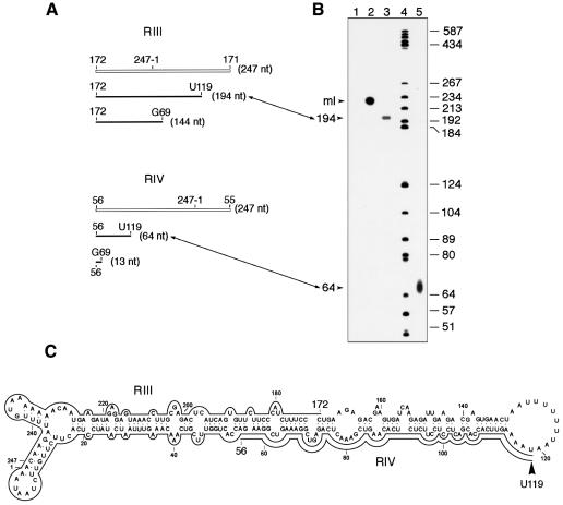 graphic file with name cdd262f5.jpg