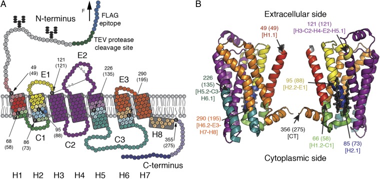 Fig. 2.