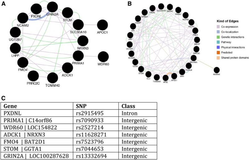 Fig. 12.