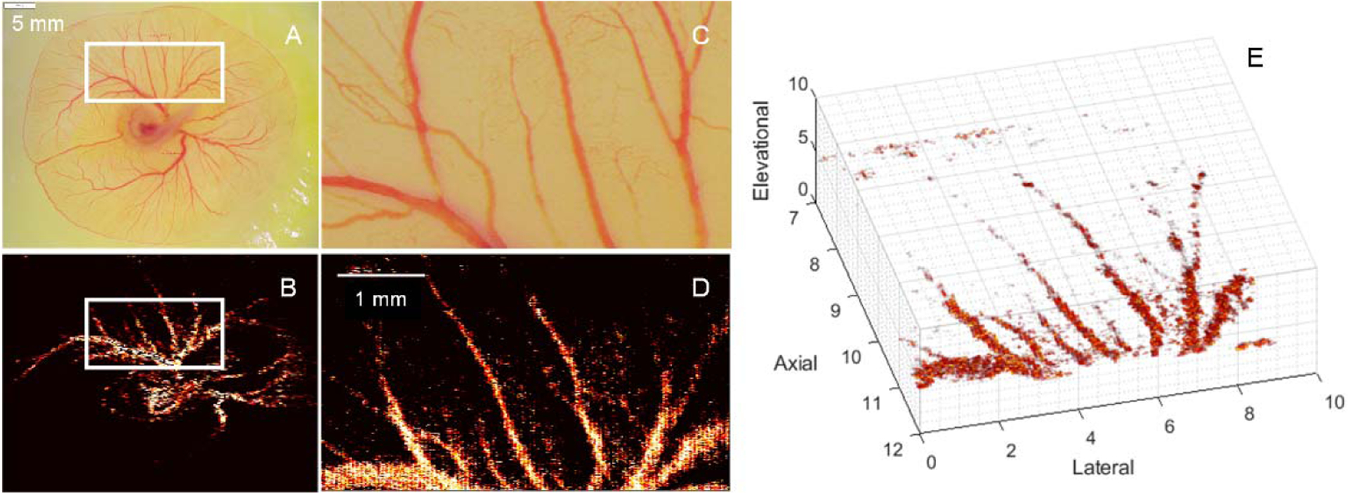 Fig. 3.