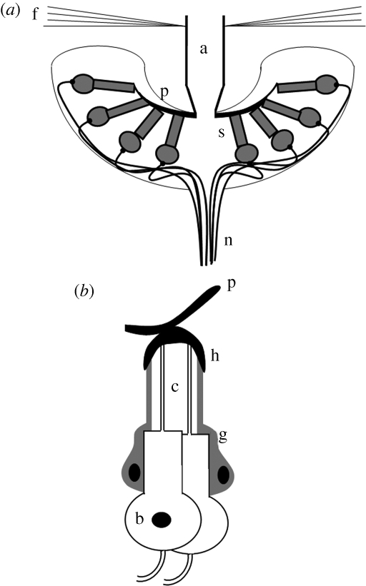 Figure 1.