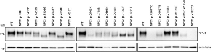 Figure 3.