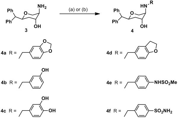 Scheme 2