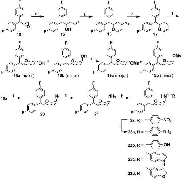 Scheme 5