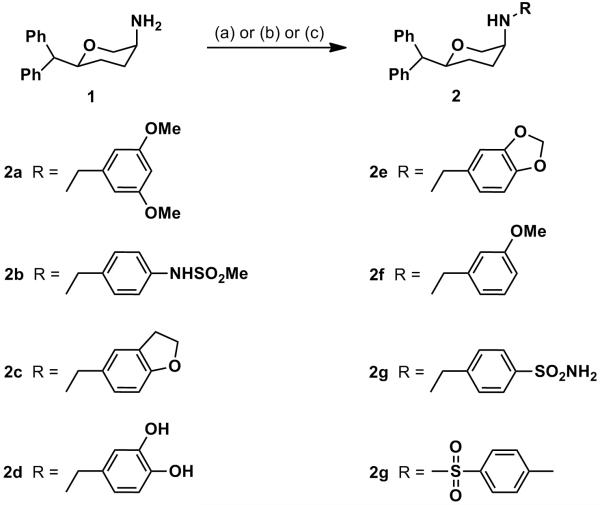 Scheme 1