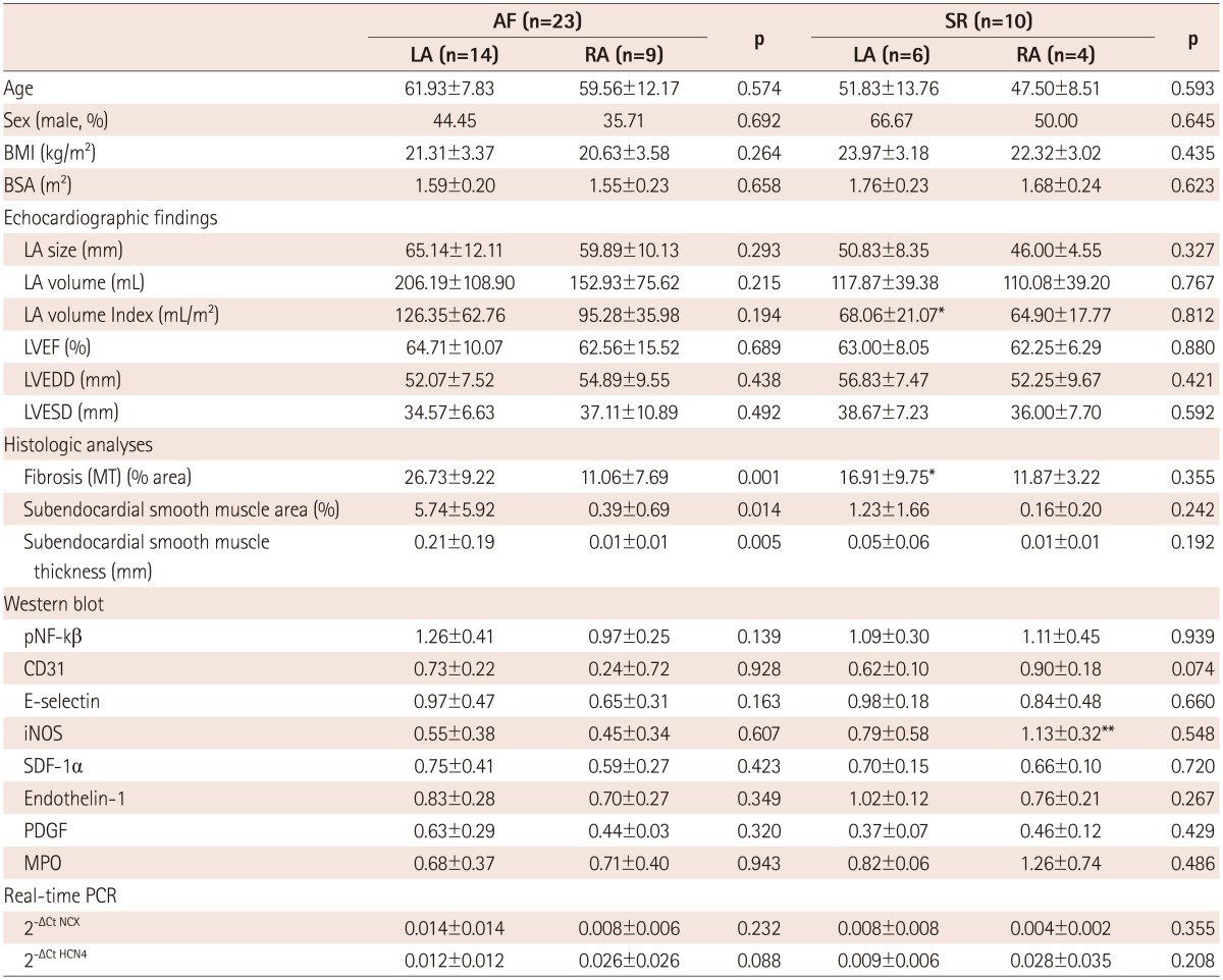 graphic file with name kcj-44-233-i003.jpg