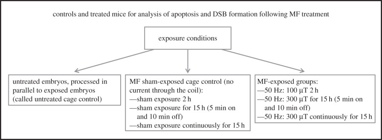 Figure 5.