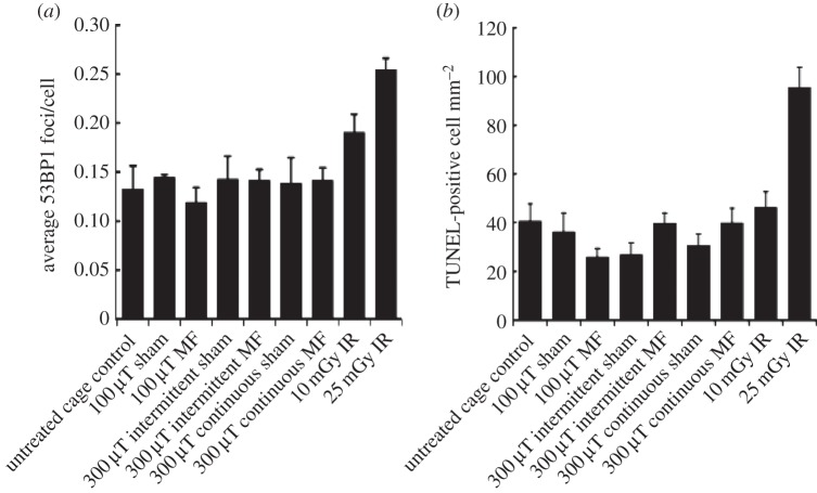 Figure 6.