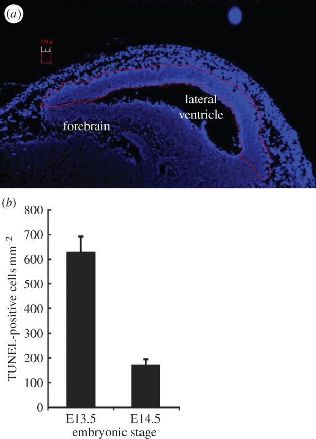 Figure 2.