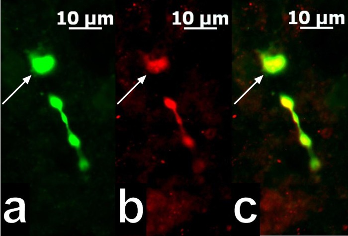 Fig. 3.