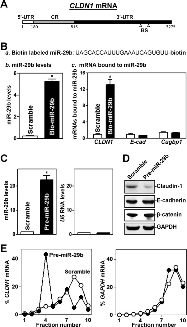 FIG 6