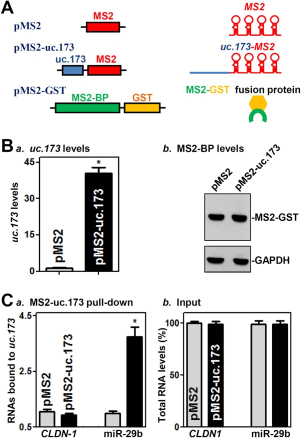 FIG 4