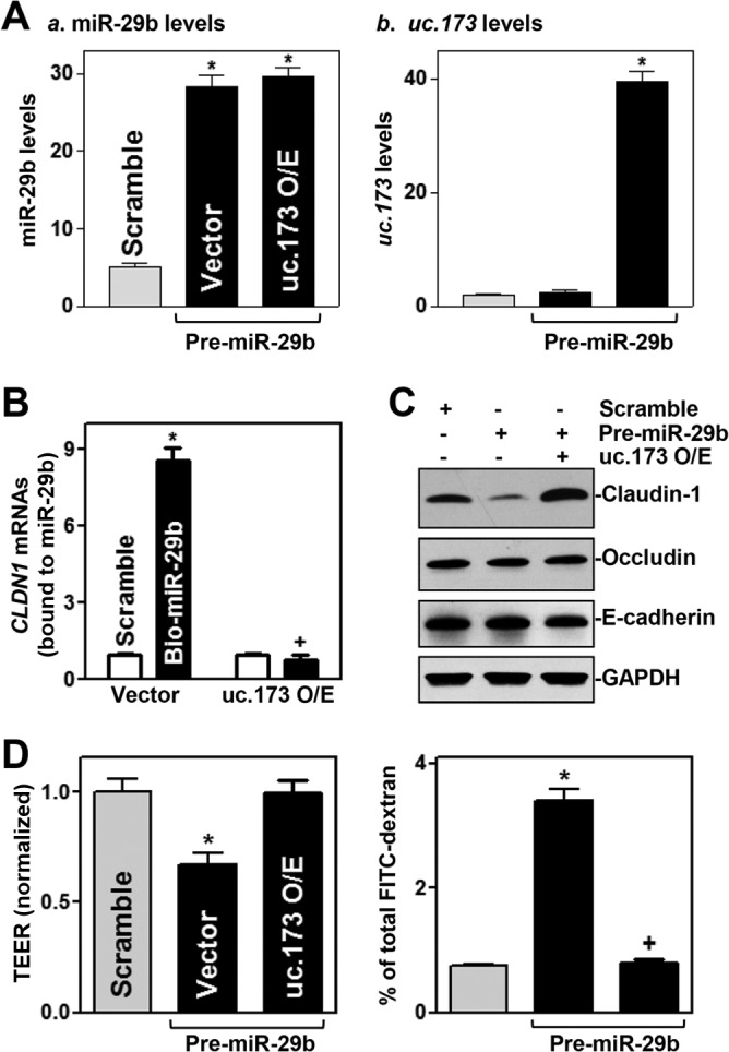 FIG 8