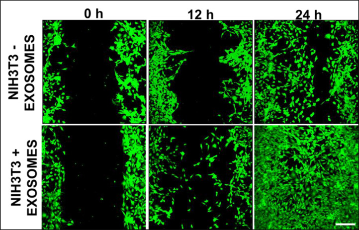 Fig 4: