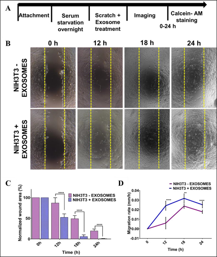 Fig 3: