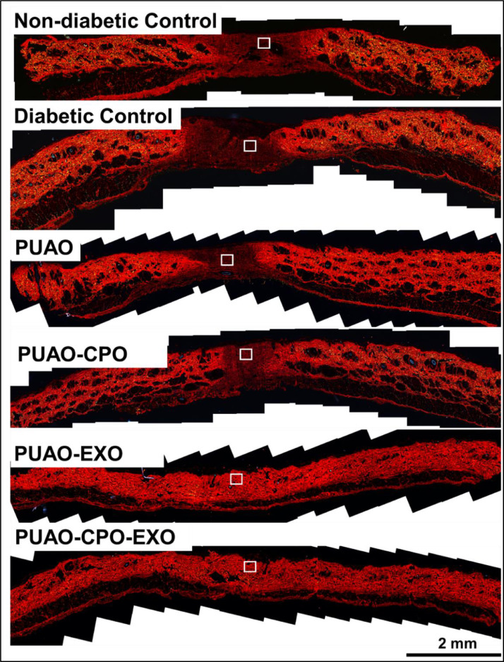 Fig 6: