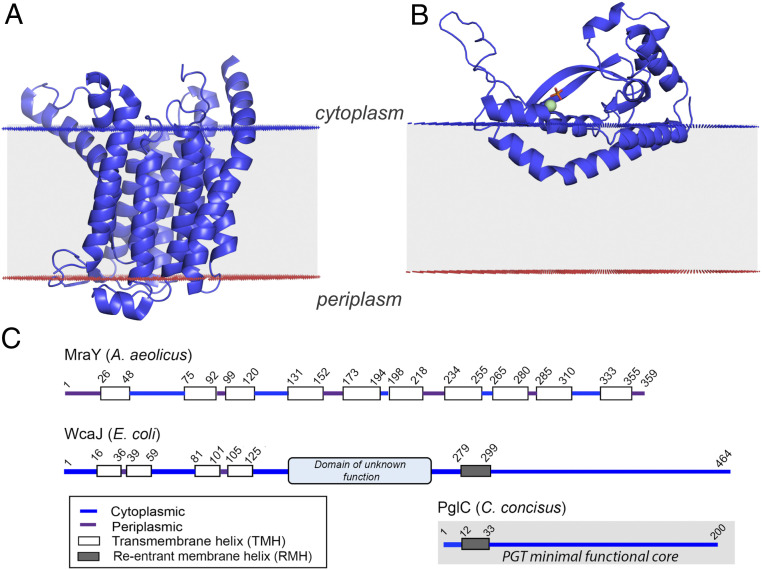 Fig. 2.