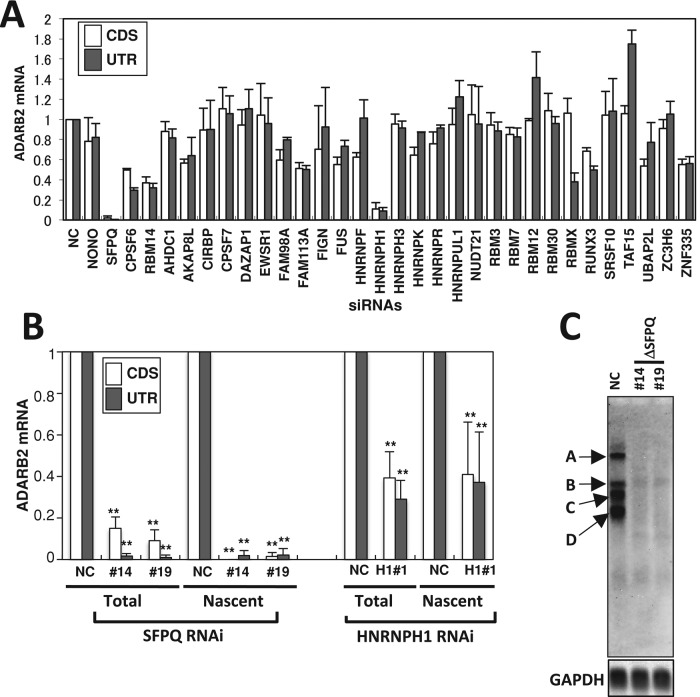 FIGURE 6: