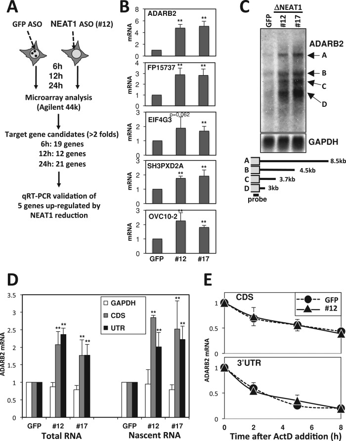 FIGURE 5: