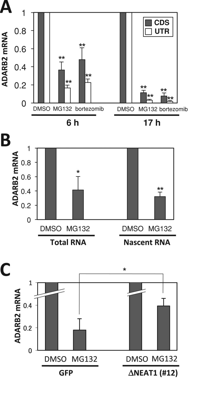 FIGURE 7: