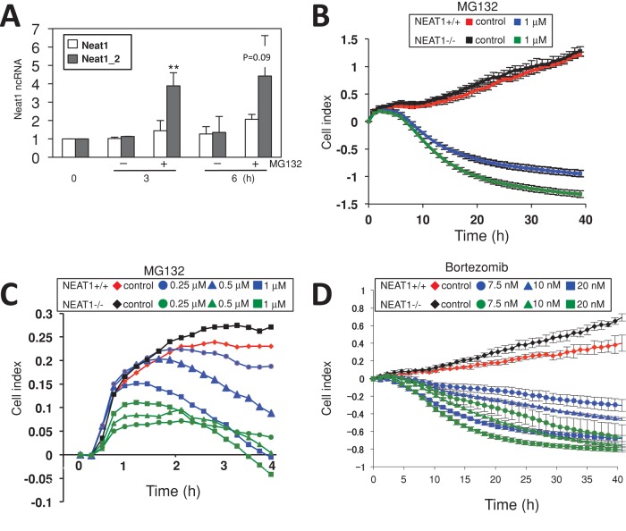 FIGURE 10: