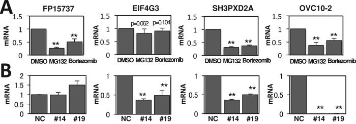 FIGURE 9: