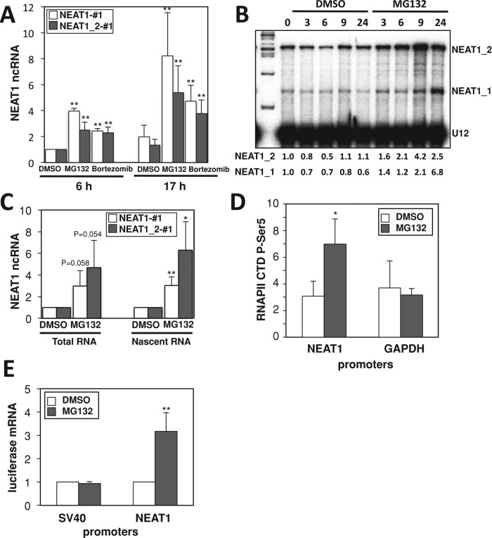 FIGURE 3: