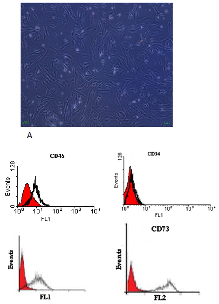 Figure1