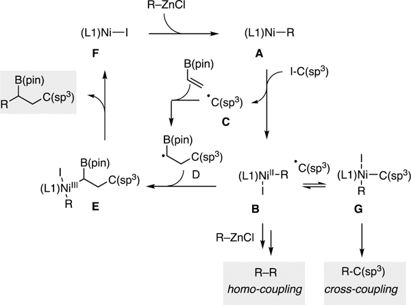 Scheme 3.