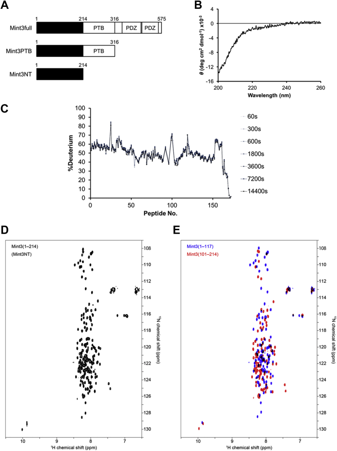 Figure 1