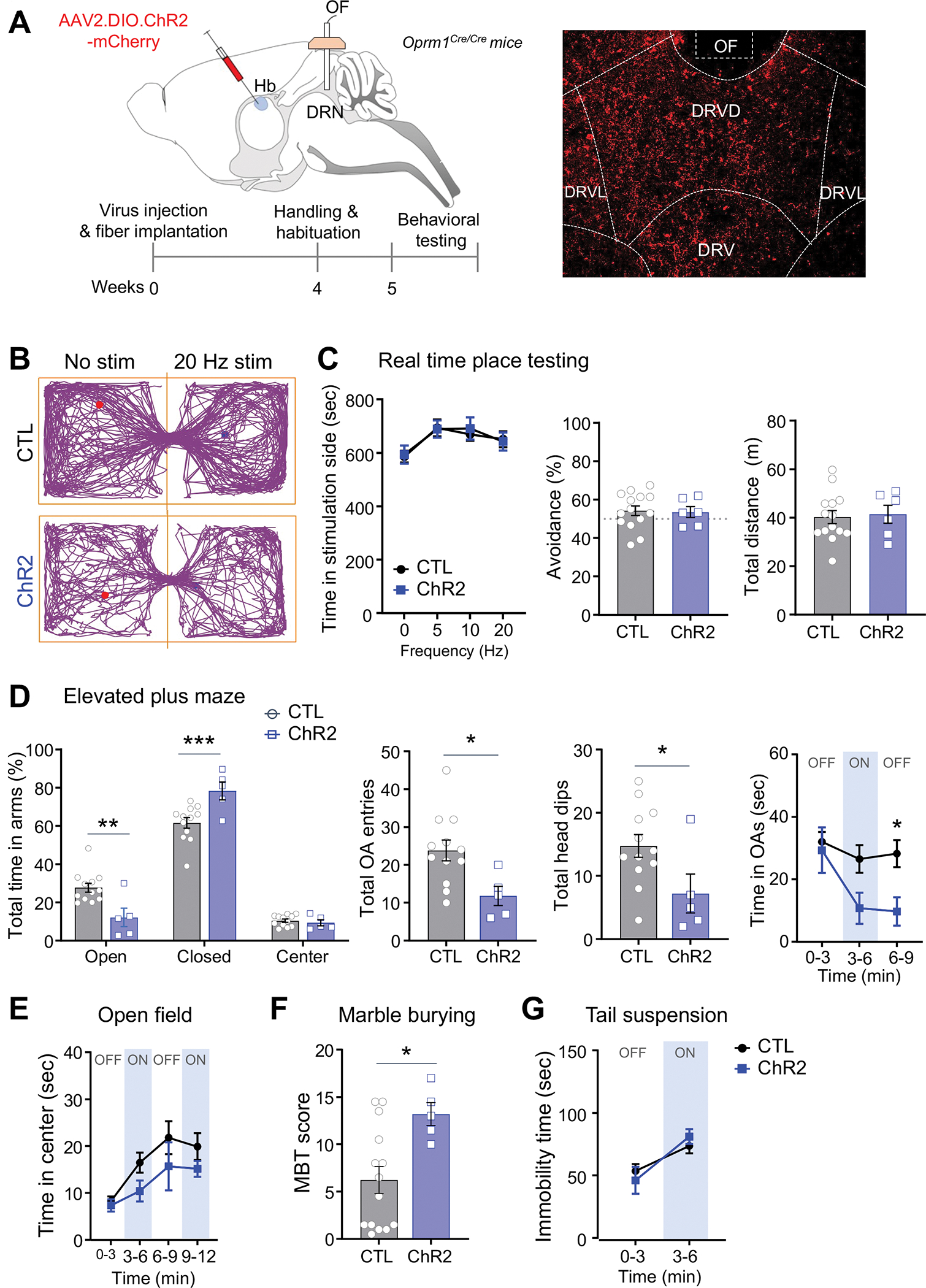 Fig. 4: