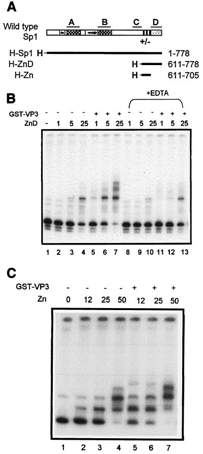 FIG. 7.