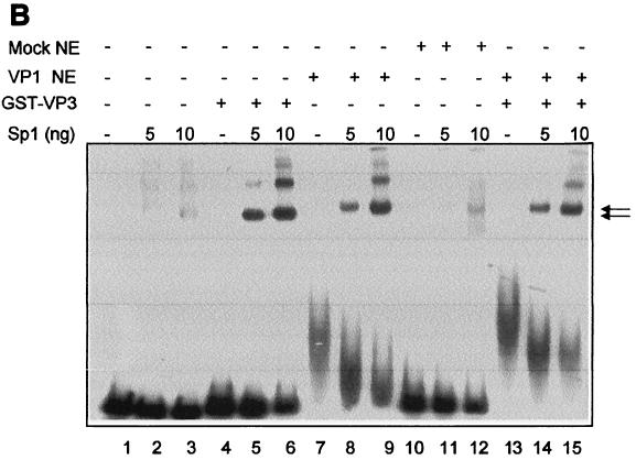 FIG. 5.