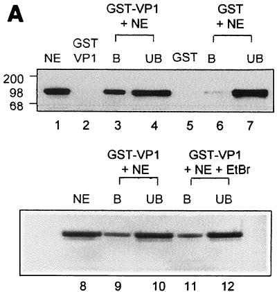 FIG. 5.