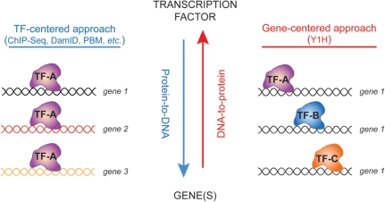 Figure 2: