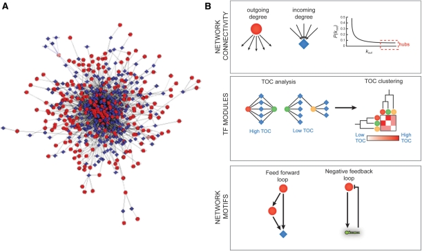 Figure 4: