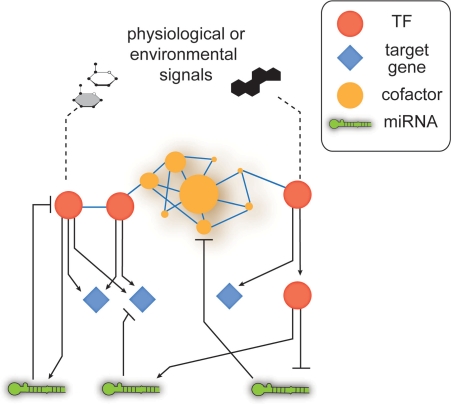 Figure 1: