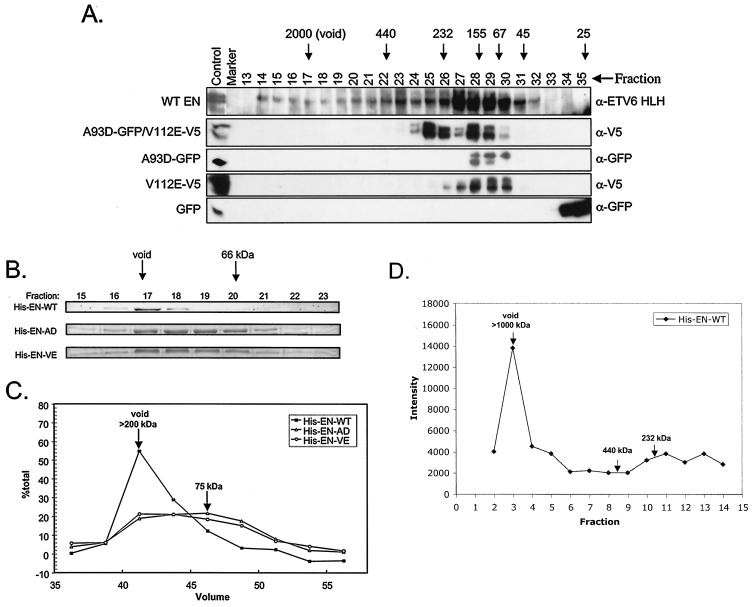 FIG. 8.