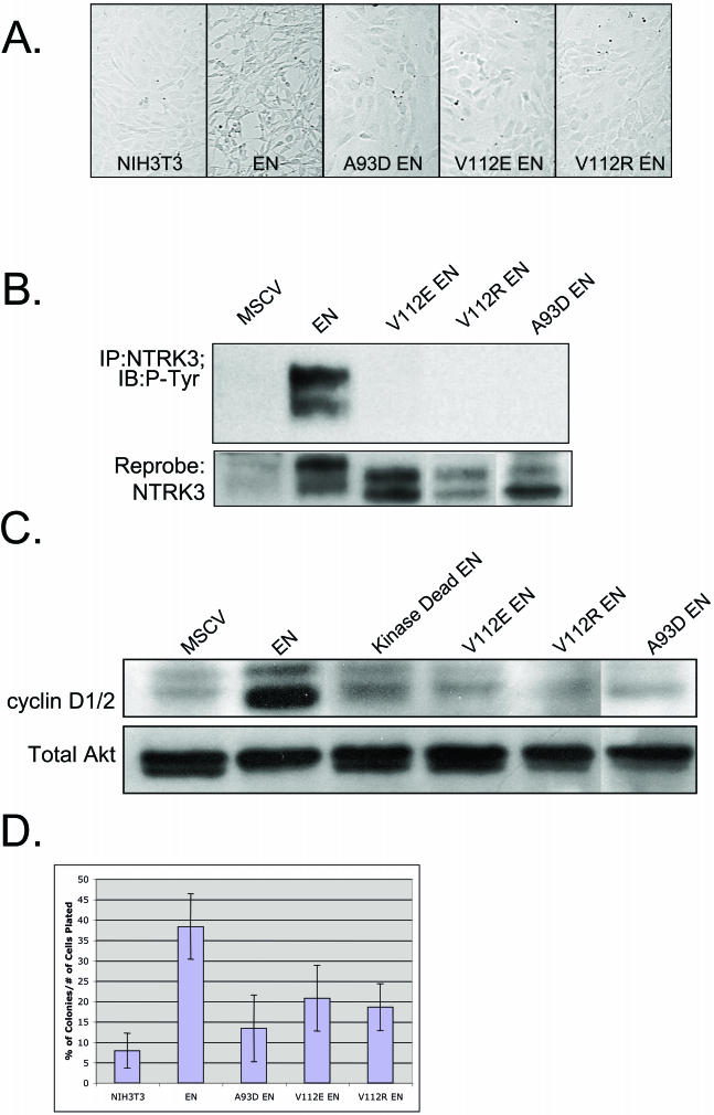 FIG.2.