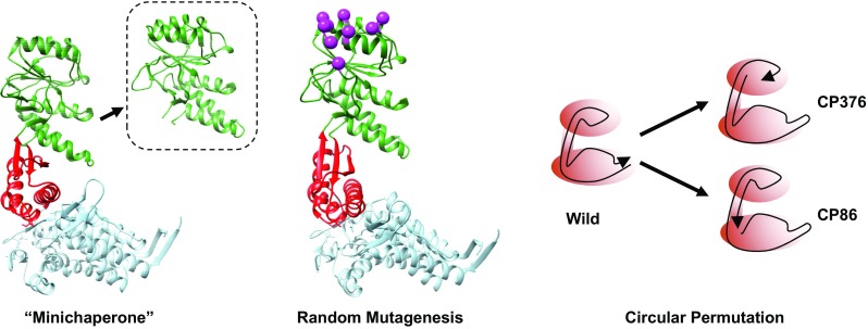 Fig. 3