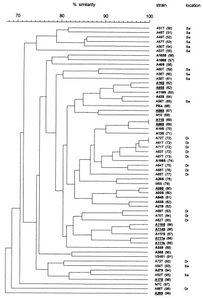 FIG. 6