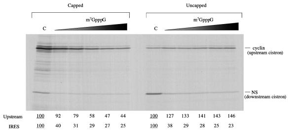 FIG. 4