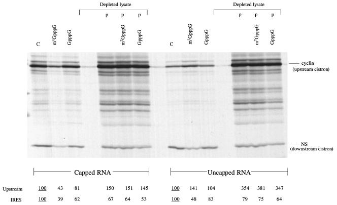 FIG. 6