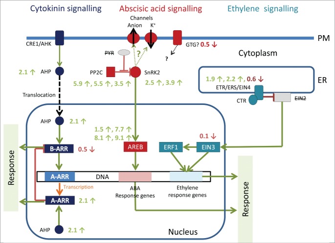 Figure 1.