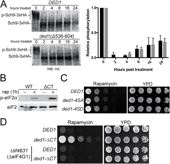 FIGURE 3: