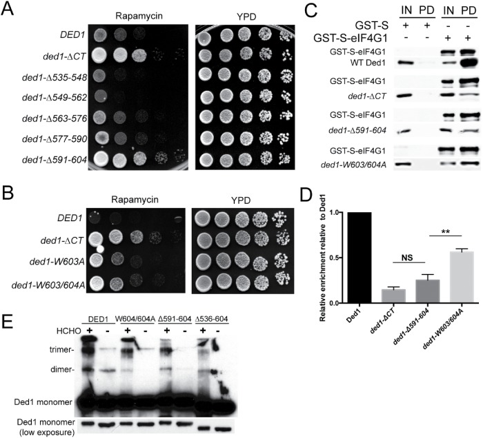 FIGURE 6: