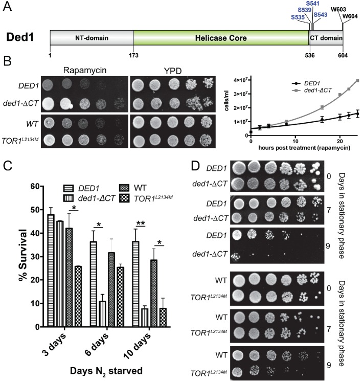 FIGURE 1: