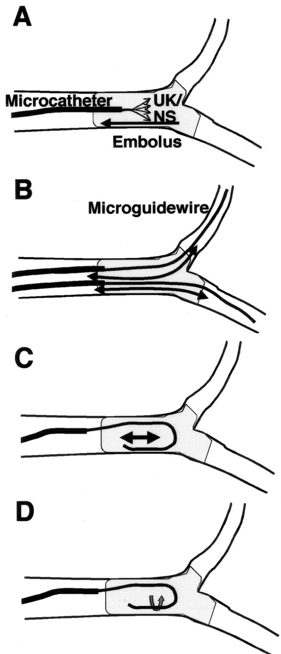 Fig 1.