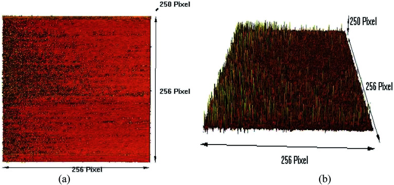 Fig. 6